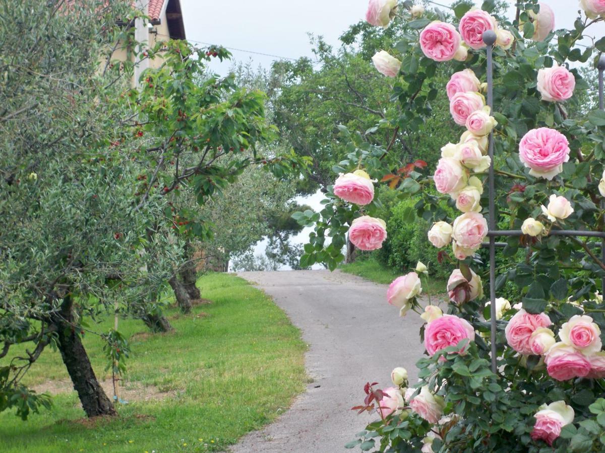 Holiday House Ida Marezige Zewnętrze zdjęcie